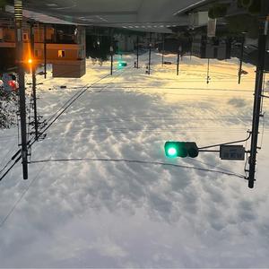 大きくなったら