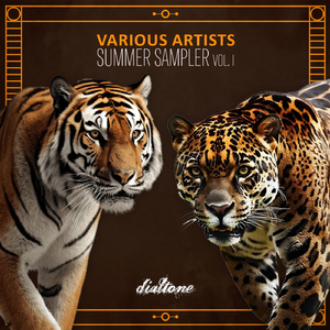 Into the Paradise (Amir Telem Remix)