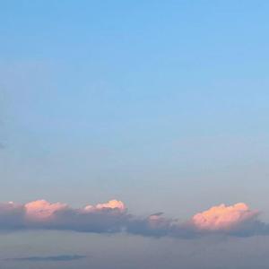 虽然你离开了我的世界，但依然感谢你曾来过