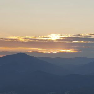 寻找真实的自己