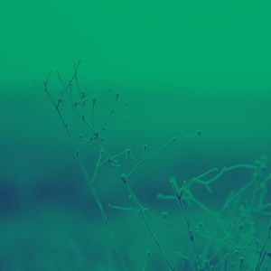 诗意的午睡节奏