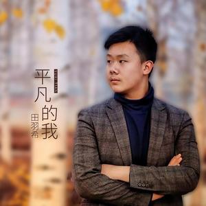 平凡的我