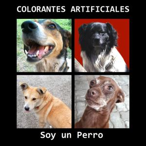 Soy Un Perro