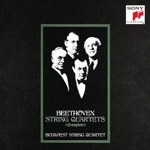 Quartet No. 4 in C Minor, Op. 18, No. 4:I. Allegro ma non tanto
