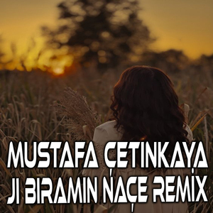 Jı Biramın Naçe (Remix)