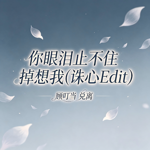 你眼泪止不住掉想我(诛心Edit)