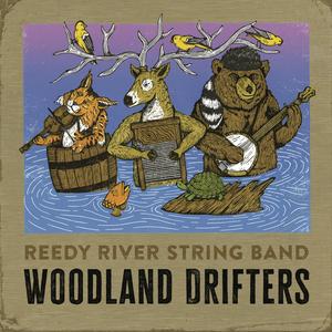 Comfortably Numb (feat. Scott Vestal)