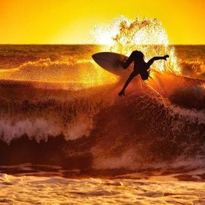 Gangnam Style X Give Me Everything