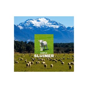 Sluimer