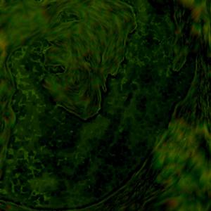 Farad (feat. Röst) (Original Mix)