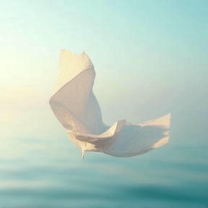 Warum unsere liebe In hass verwandelte