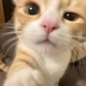 Viliam Lane Particles - Slowed + Reverb