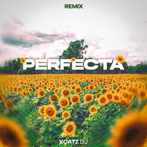 Perfecta (House) (Remix)
