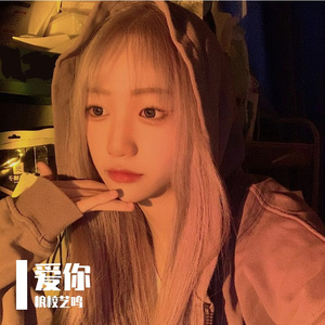 王心凌-爱你（粮校艺鸣 remix）