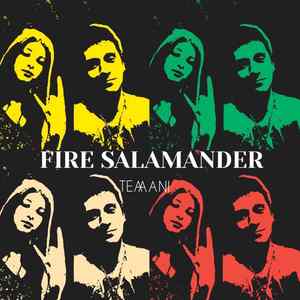 Fire salamander