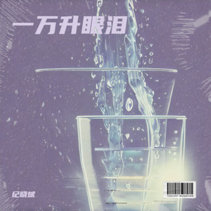 一万升眼泪 (DJ京仔版)