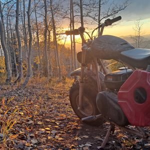 So Many Sounds (Surround Me)