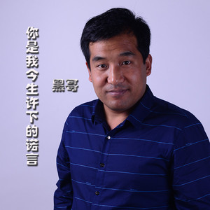 你是我今生许下的诺言 (伴奏)