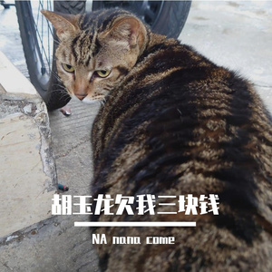 胡玉龙欠我三块钱