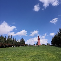 用我一辈子去忘记