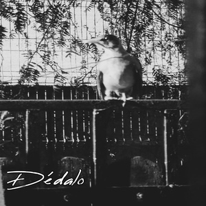 Dédalo