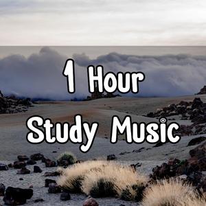 1 Hour Study Music 25 Hz