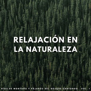 Terapia De Agua