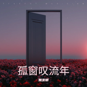 孤窗叹流年