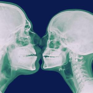 Body Intellligence