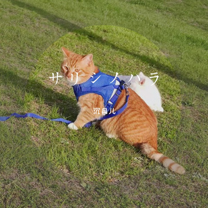 サリシノハラ（离去之原）