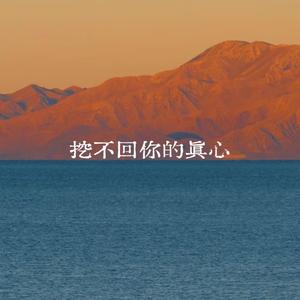 挖不回你的真心