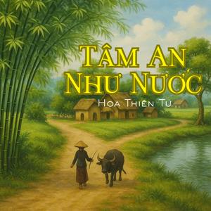 Tĩnh Tâm Giữa Vô Thường