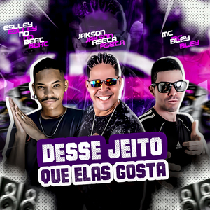 Desse Jeito Que Elas Gosta