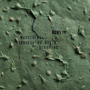 Came As It Went (Orginal Mix)