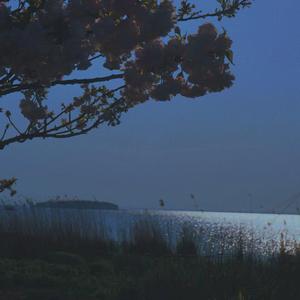 阿拉斯加海湾（cover.蓝心羽）