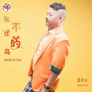 关不住的鸟(伴奏)