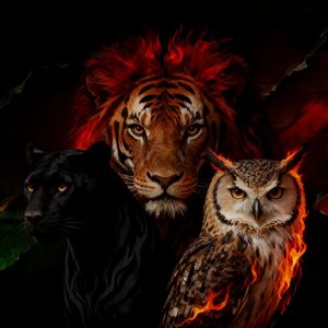 Ultimate（极致巅峰）