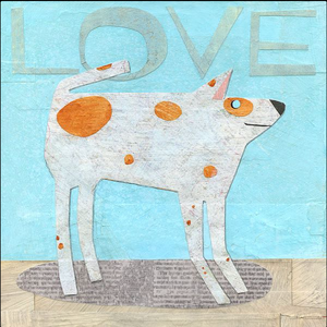 动物mbti（猫infp）