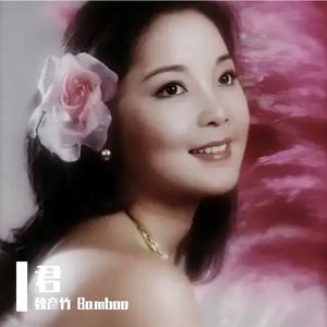 君（cover：单依纯、邓丽君）