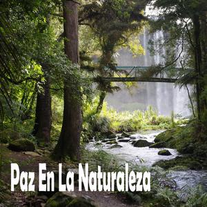 Retirada