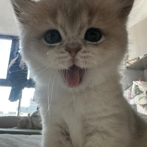 破执
