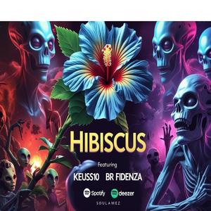 Hibiscus (feat. Br Fidenza)