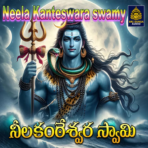 Kailasavasudamma Sivaiah karunagalla devudu