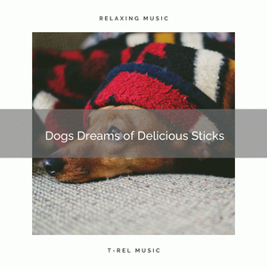 Relaxing Songs for Pets Sleeping Alone