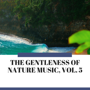 Relaxation Ocean Waves