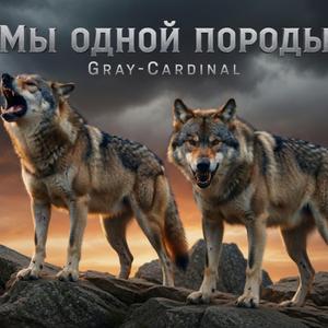 Мы одной породы