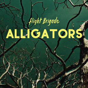 Alligators