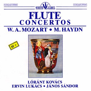 Flute Concerto No. 2 in D Major, K. 314:III. Rondo. Allegro