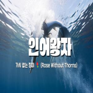 가시없는 장미