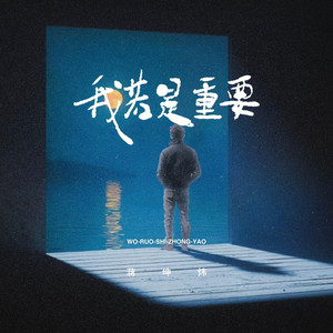 我若是重要